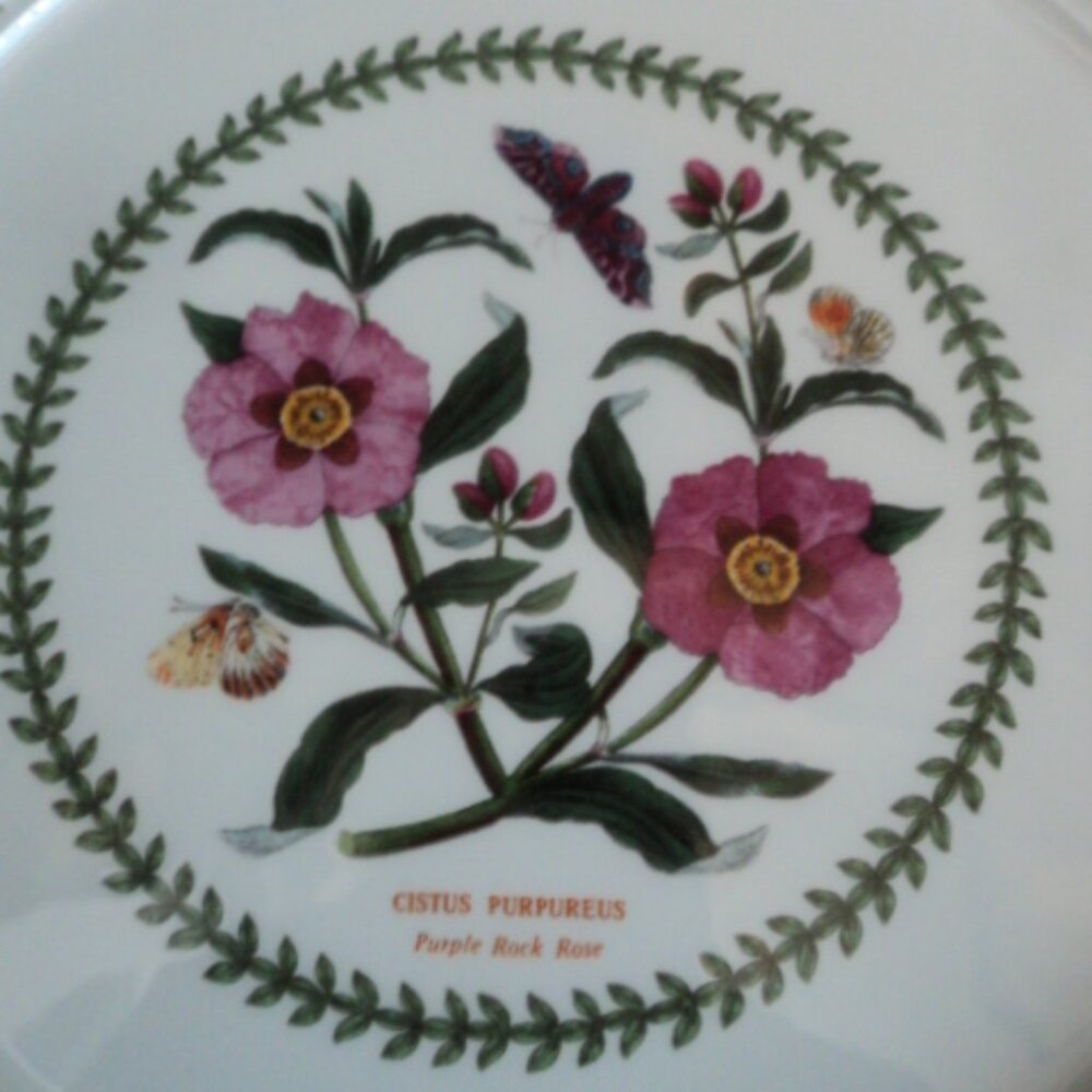 Portmerion salad plate x 2 - Picture 5 of 8